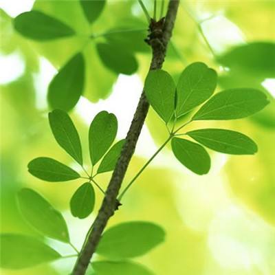 ROR体育官网登录入口