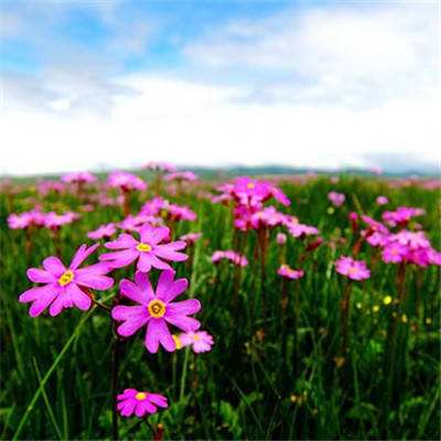 环球体育app最新版下载