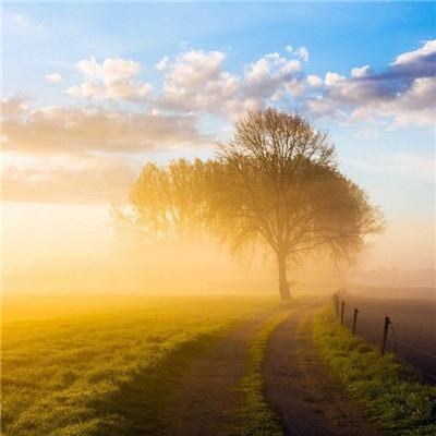 尊龙手机版下载